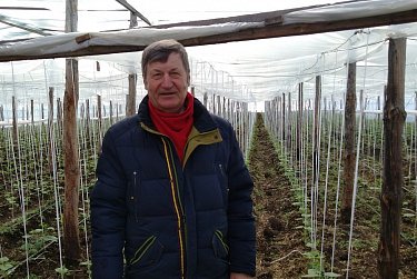 Экологические чистые овощи выращивают в поселке Горный Оренбургского района